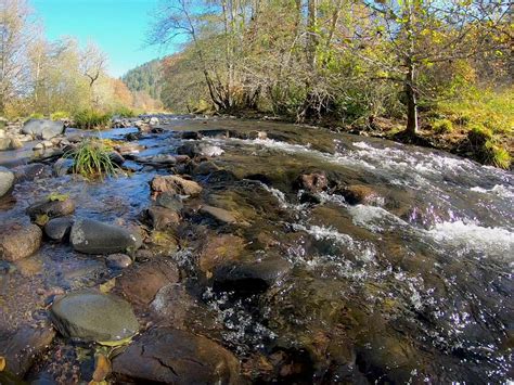 Elk Creek Wild and Scenic River | View of the Elk Creek Wild… | Flickr