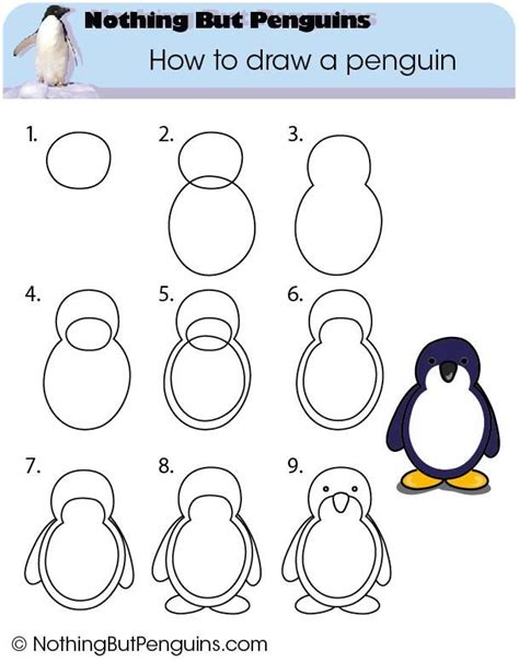 How to draw a penguin | Penguin drawing, Penguins, Penguin art