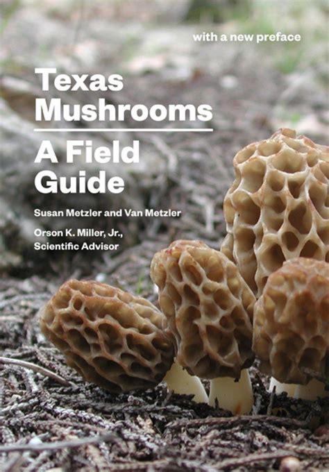 Texas Mushrooms: A Field Guide | NHBS Field Guides & Natural History