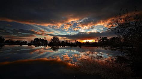 Violin under the tree in the dark, violin, sunset, lake, tree ...