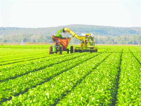 A typical scene from the industrial agriculture system whereby fossil... | Download Scientific ...