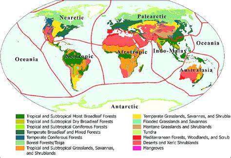 The ecoregions are categorized within 14 biomes and eight biogeographic... | Download Scientific ...