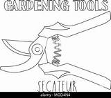 pruner Icon Black Line Art Vector In And White Outline Set  sketch template