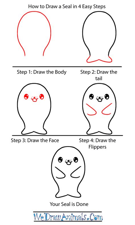 How to Draw a Baby Seal