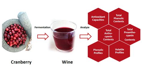 Antioxidants | Free Full-Text | The Influence of Vinification Methods and Cultivars on the ...