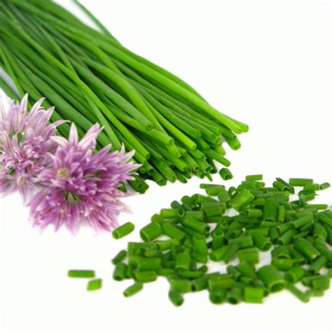 Chives Plant Long-Awaited Health Benefits And Medicinal Uses | Veggies Info