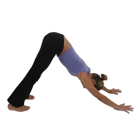 Downward Facing Dog Pose | Yoga Asanas for Beginners | Divinity Mag