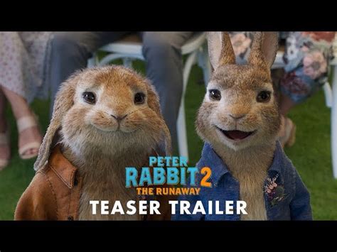 Everything You Need to Know About Peter Rabbit 2 Movie (2020)