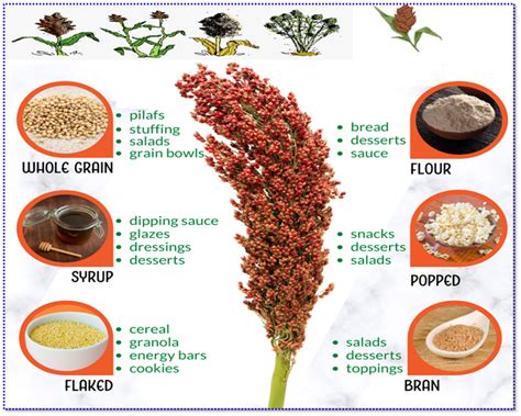 Figure 2. Different product of Sorghum; Flour, popped, bran, flaked ...