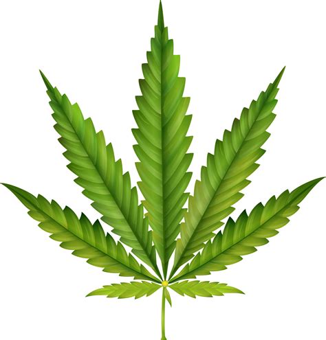 cannabis leaf illustration 5356900 Vector Art at Vecteezy