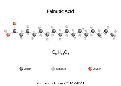 Molecular Formula Chemical Structure Sodium Dodecyl: เวกเตอร์สต็อก ...