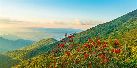 Craggy Gardens - Milepost 364 - Blue Ridge Parkway (U.S. National Park ...