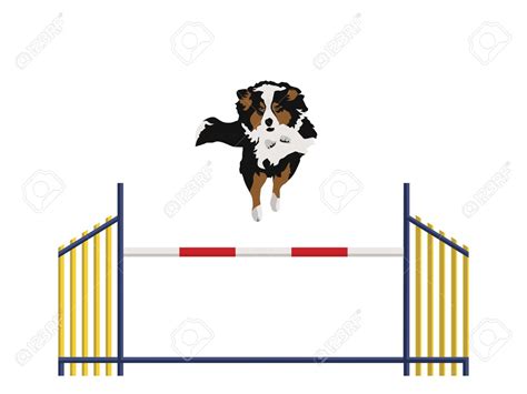 Dog Agility Vector at Vectorified.com | Collection of Dog Agility Vector free for personal use