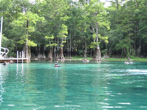 Morrison Springs, NW FL I took my certification dive there for my SCUBA certification. BEAUTIFUL ...