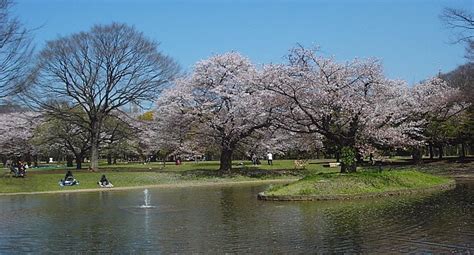 Detail Yoyogi Park Tokyo Location Map