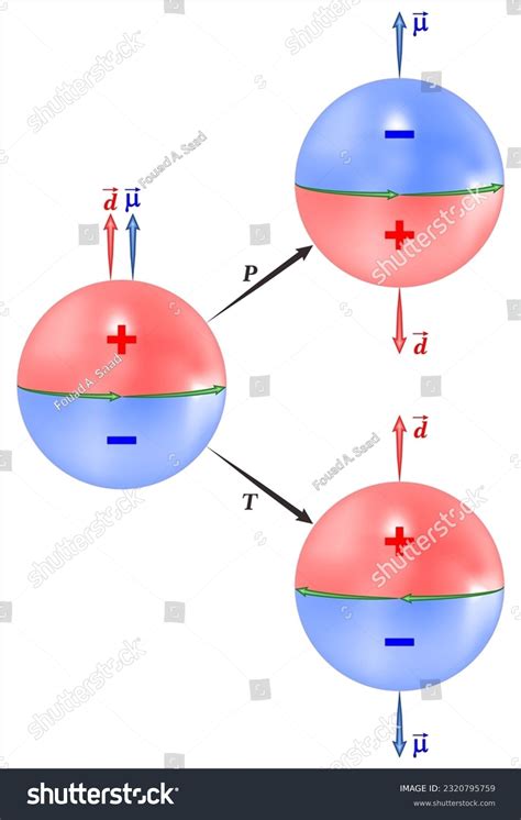 the Neutron electric dipole moment (nEDM) - Royalty Free Stock Vector 2320795759 - Avopix.com