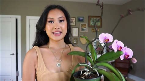 Orchid Reblooming Tips & Tricks - YouTube