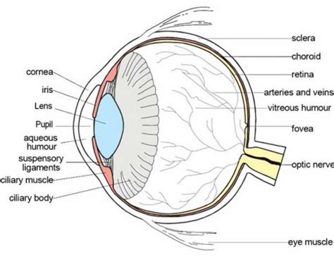 Labeled Eye Diagram