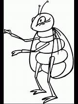 Free Printable Bug Coloring Pages For Kids sketch template