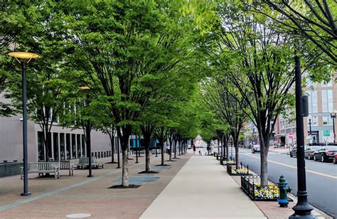 News Story: NCPC Releases Streetscape Design Guidelines: Small–Scale ...