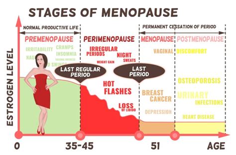 estrogen level chart - Menopause Naturally