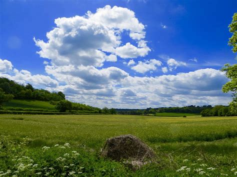 Bale of hay in grass field 1271697 Stock Photo at Vecteezy