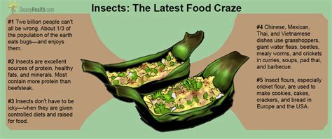 Are Bugs The New Food Craze? The Benefits Of Eating Insects, And Which Insects To Eat ...