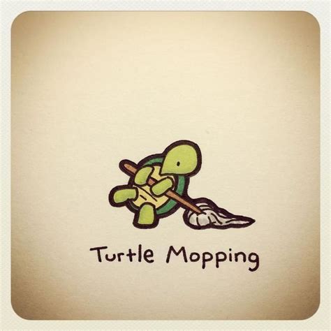 Sweet Turtles, Cute Turtles, Baby Turtles, Turtle Tank, Tiny Turtle, Turtle Love, Cute Turtle ...