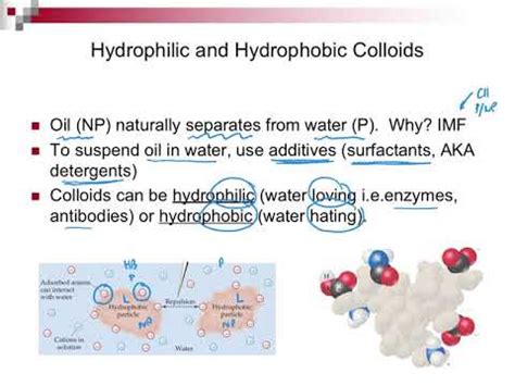 Hydrophilic Examples