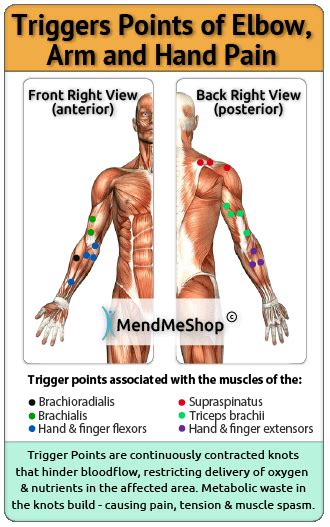 Forearm Muscle Strain (2022)