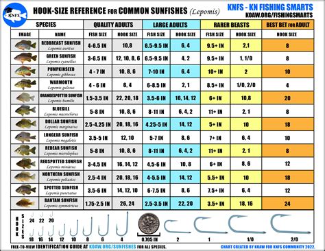 KNFS Free Hook-Size Chart for Common Sunfishes - Bluegill, longear ...