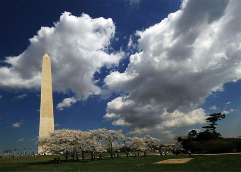 National Mall Cherry Blossoms Greeting Card by L. Toshio Kishiyama