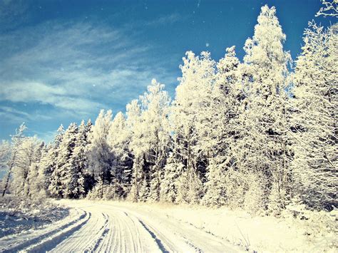 Lithuania. Winter | Lithuania travel, Lithuania, Travel