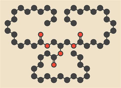 Stearin Saturated Fat Molecule Photograph by Molekuul