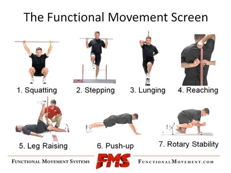 FMS: Functional Movement Systems | FlexibilityRx - Performance Based ...