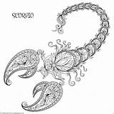 Zodiac sign scorpio coloring Pages – Artofit sketch template