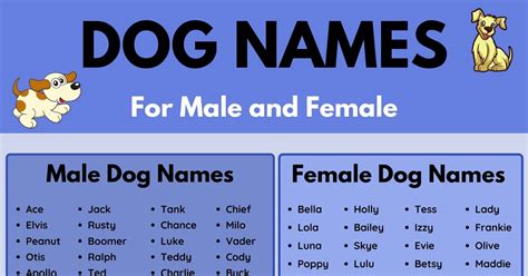Dog Names: 120 Most Popular Male And Female Dog Names Love English | atelier-yuwa.ciao.jp