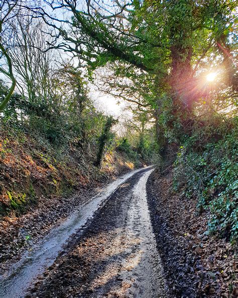 Top Norfolk Walks This Season - Enjoying Norfolk