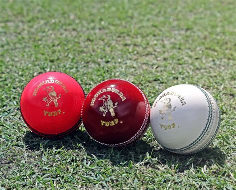 5 Best Cricket Balls in 2024 - Jaxtr