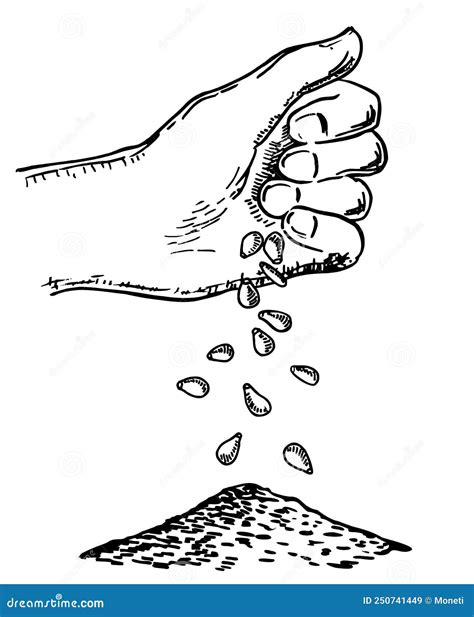 Sowing Seeds Isolated Cartoon Vector Illustrations. | CartoonDealer.com #260898641