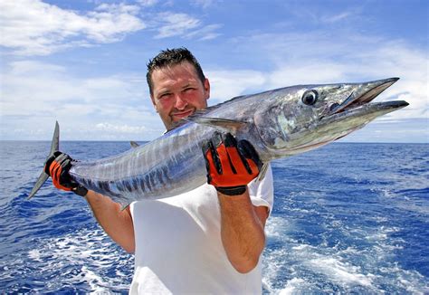 Wahoo - Fish Master - Sebastian Inlet, Florida