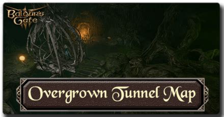 Overgrown Tunnel Map and Points of Interest | Baldur's Gate 3 (BG3)｜Game8