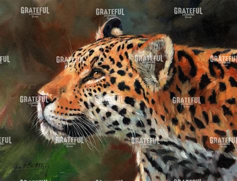 Jaguar - Grateful Art Licensing