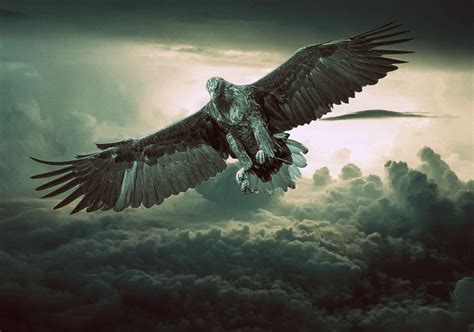 Black Eagle HD Wallpapers - Top Free Black Eagle HD Backgrounds - WallpaperAccess