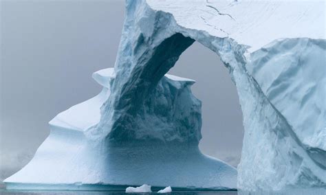 How big is the Arctic Ocean? And eight other Arctic facts | Stories | WWF