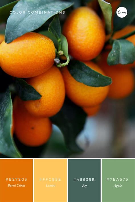 New to Canva? Sign up! | Orange color combinations, Matching paint colors, Color schemes