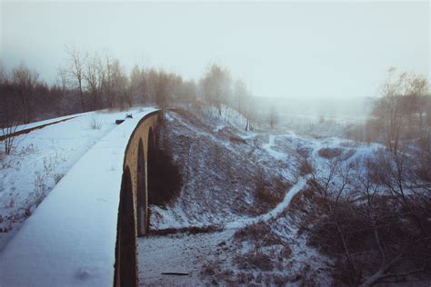 Bridge and Tree Under Sunset · Free Stock Photo