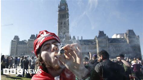 Canada to push for making sale marijuana legal - BBC News