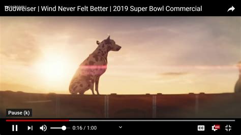 Budweiser Super Bowl Commercial 2024 Dog - Image to u