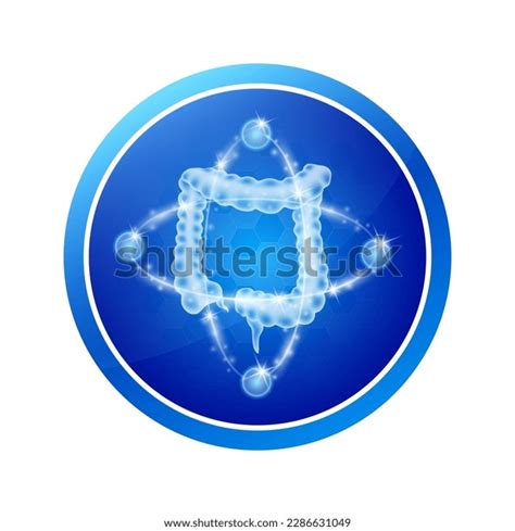 Intestine Health Care Labels Circle Shapes Stock Vector (Royalty Free) 2286631049 | Shutterstock
